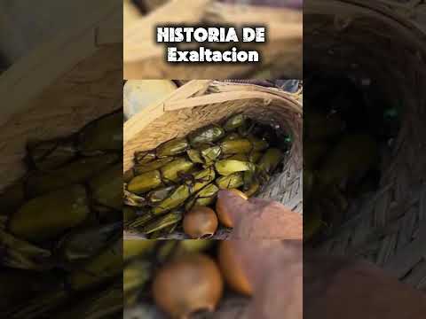 beni exaltacion #beni #bolivia #historia