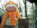 Smokin In The Woods With Monkeys
