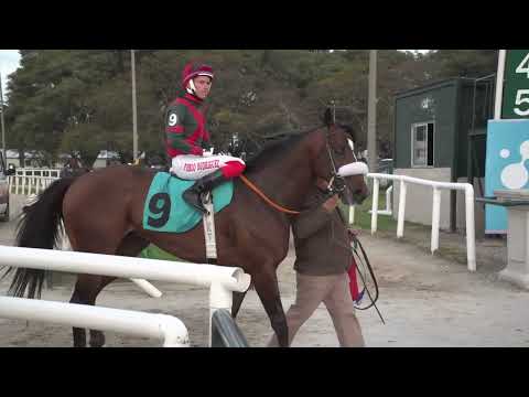 230730 c07 EL VIENTO PASA (ARG)