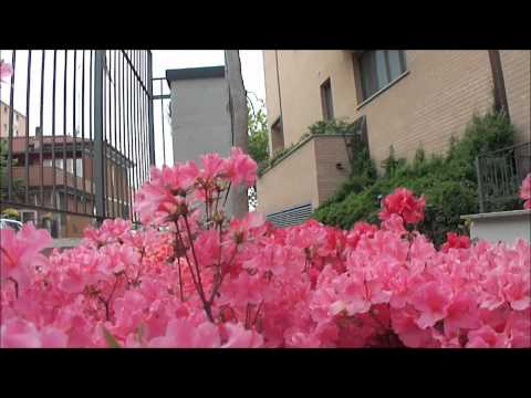 Gestioni Condominiali