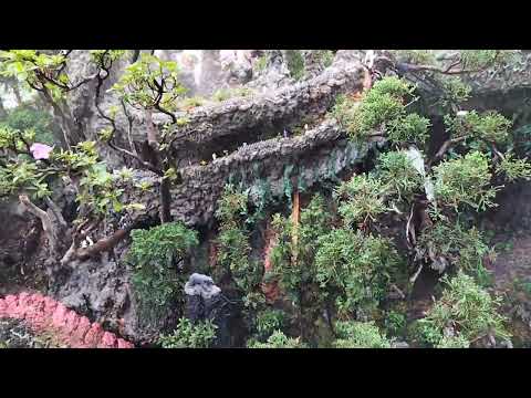 ムクドリ 庭で一番役立つ鳥は何ですか