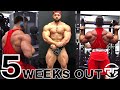 WHAT I EAT TO GET SHREDDED | SHOULDER WORKOUT | REGAN GRIMES