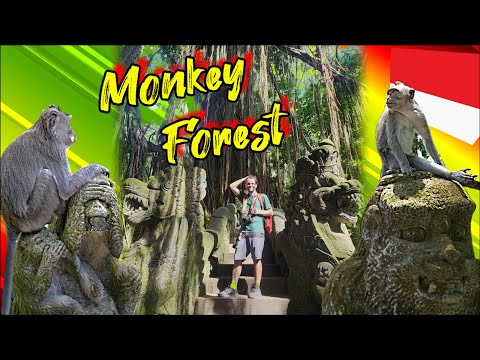 Indonesia : The Wildest Experience in Ubud's Monkey Forest