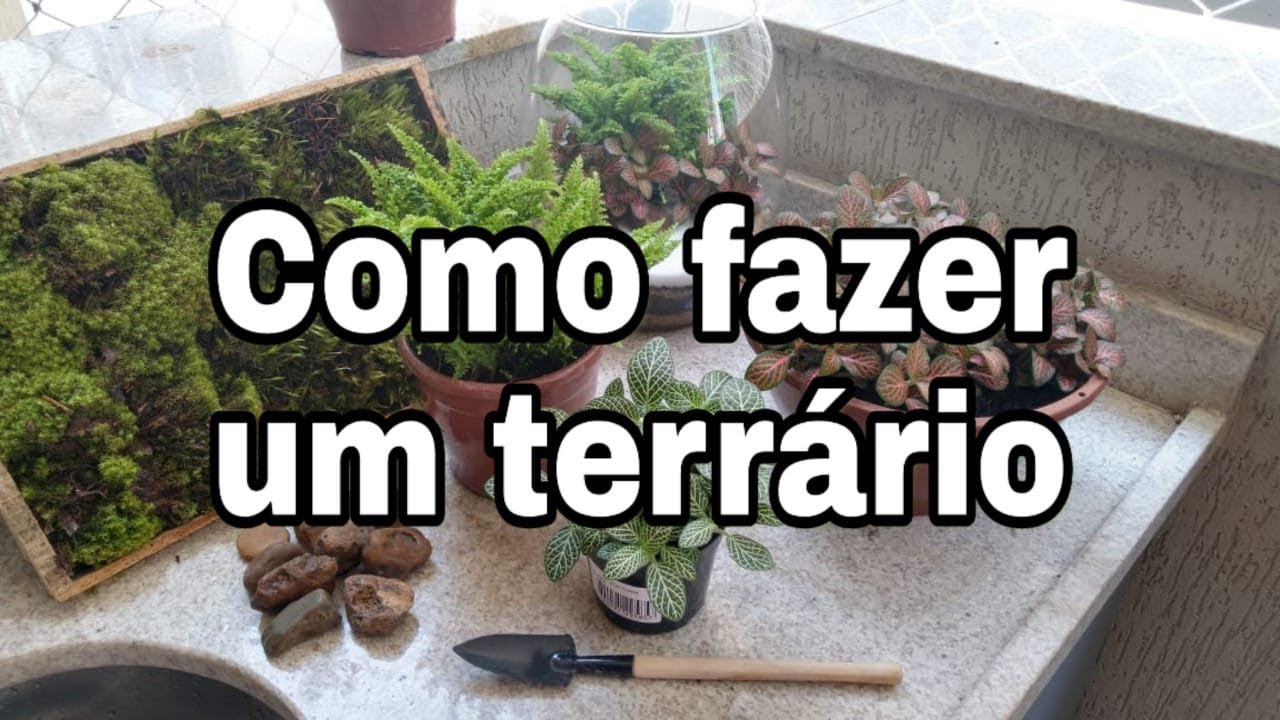 COMO FAZER UM TERRÁRIO FECHADO!!! #terrário #minijardim #plantas