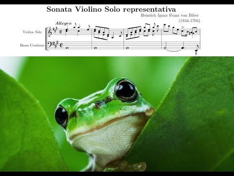 Heinrich Ignaz Franz von Biber - Sonata violino solo Representativa