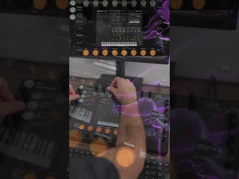 Free Download Steinberg HALion Sonic 7 v7.1.40 macOS-V.R