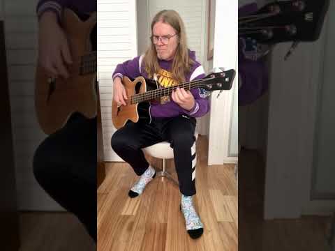 O Vôo Do Besouro - Humberto Gessinger