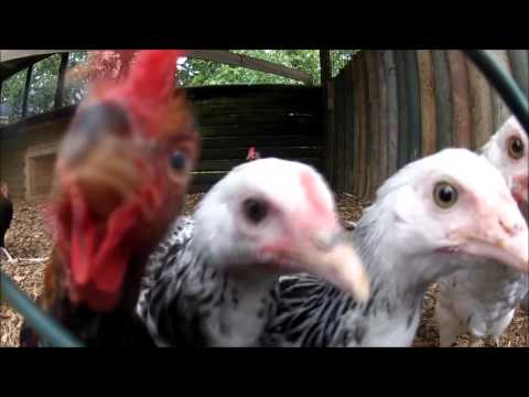 Fiks Fare Highlights, 03/02/2016 - Pjesa 2 - Top Channel Albania