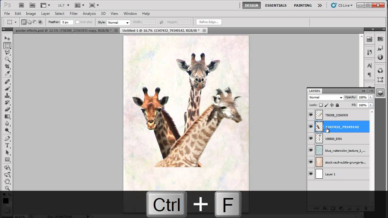 How to Design a Save the Wildlife Poster