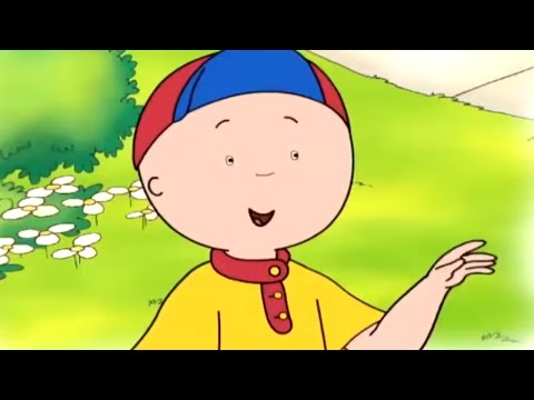 Caillou is Friendly | Caillou | Cartoons for Kids | WildBrain Little Jobs