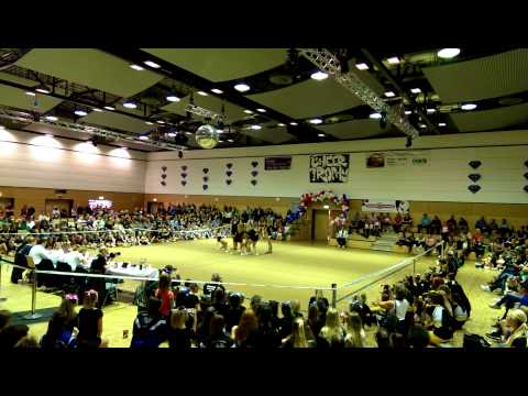 Candy Girls Cheerleader - Stuntteam bei der Cheer Trophy 2015 in Wolfenbüttel