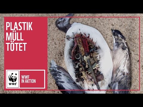 Ich bin dein Plastikmüll | WWF Deutschland