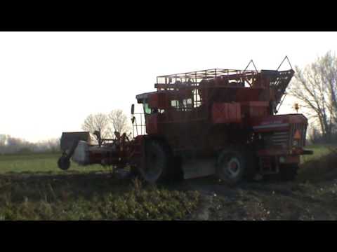 Landb. Bottelier - Oekene