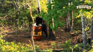 Spring Black Bear Hunting in Manitoba Canada - Claim Your Trophy TV