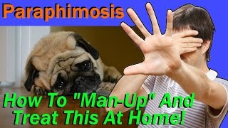 At Home Care & Resolution For a Very Serious Condition with Your Dog Called Paraphimosis