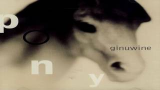 Ginuwine - Pony (Radio Edit)