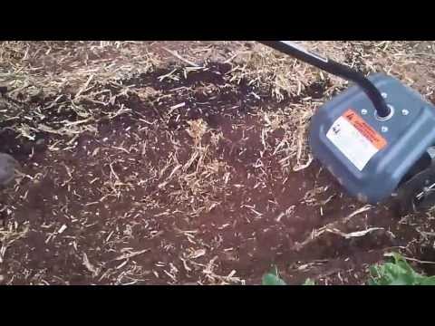 How to prepare compacted soil for a veggie patch