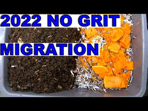 No Grit Worm Bin Horizontal Migration