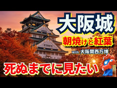 【死ぬまでに見たい】大阪城｜紅葉と朝焼けの絶景…そして 万博が残した奇跡の半年間”🍁