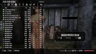 Skyrim / I tried using HDT Havok Object.