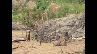 preview picture of video 'Widespread Kaingin in Ipo Watershed (Sapang Anginan)'