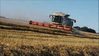 preview picture of video 'Claas Lexion 770 Terra Trac auf Hektarjagt'