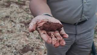 How To Check Soil Moisture in Root Zone for Planting | Easy Fist Test Method