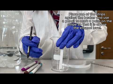 Paper Chromatography Experiment