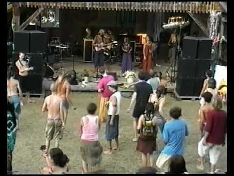 militant pazifists love shine live  heart culture 2012