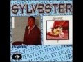 sylvester- new beginnings