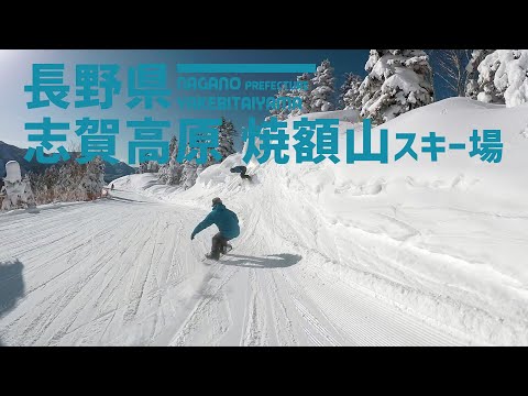 Video: 【滑れるエリア広大】長野県 焼額山スキー場 / 広大な志賀高原の焼額・奥志賀エリア