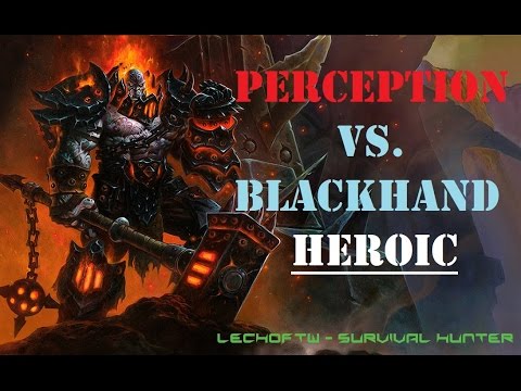 Perception vs Blackhand HEROIC - SV Hunter PoV