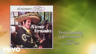 Vicente Fernández - Yo Quiero Saber de Ti (Cover Audio)