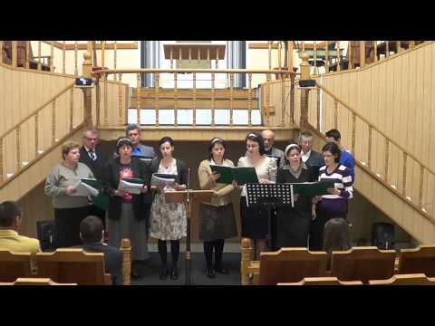 Duminica seara (23.III.214)