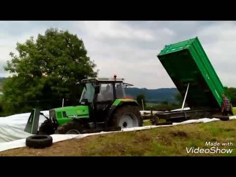 Mais 2017 in der Rhön