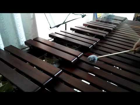 Inni di lode N°450: Vivevo nel mal Marimba Cover