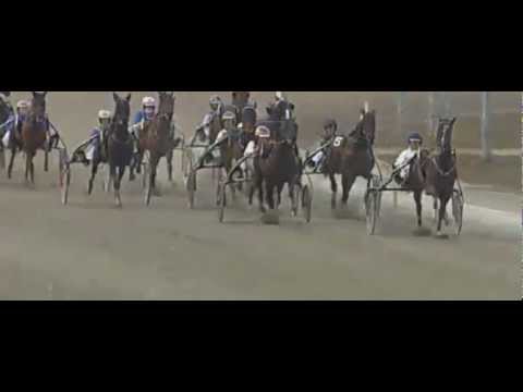 Commander Crowe_Matthieu Abrivard_Olympia Trial_Wolvega 2013