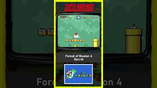 Capa de Forest of Illusion 4 (Secreta)
