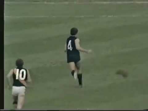 VFL Round 1 Carlton Vs Richmond at VFL Park 1981 brief Channel 2 highlights