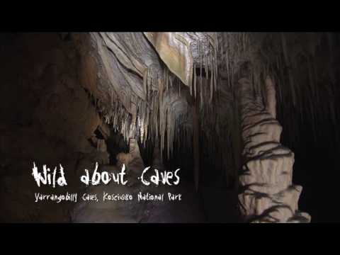 Yarrangobilly Caves