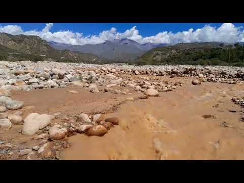 🌿 La increíble unión de dos ríos de distintos colores