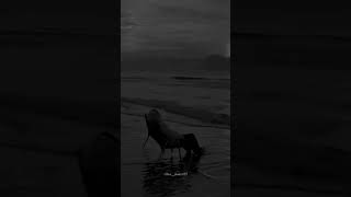 Download lagu Rekkalochina prema song #whatsappstatus #telugu #userbeats110 # #love #sadstatus mp3 Download lagu Rekkalochina prema song #whatsappstatus #telugu #userbeats110 # #love #sadstatus mp3