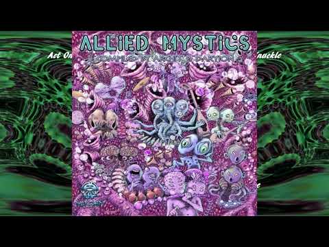 Act One Vs. Shadow Shaman Vs. Wood Warden - Funk Knuckle - Hekwapi Records - 2020