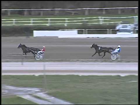 Trotto 14/12/2014 - prova di qualifica