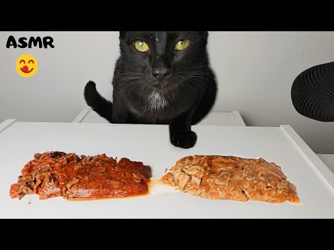 Cat eating Jelly food ASMR - YouTube