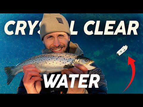 Silver in the Stockholm Archipelago