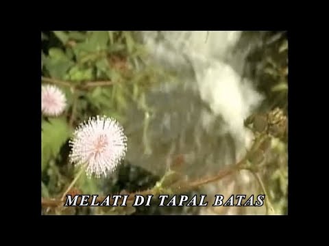Hendri Rotinsulu - Melati Di Tapal Batas (Lyric Video)