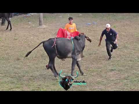 FIESTAS DE CADELARIA TEUSTEPE BOACO 
