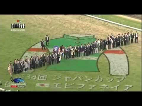 30.11.2014 Tokyo (JPN) 11.Race The Japan Cup 2014 - Group I 2.400 m