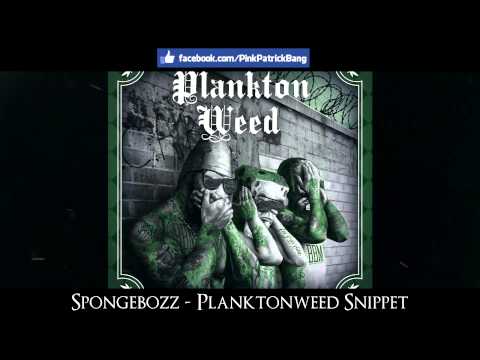 SpongeBOZZ ► Planktonweed Tape 17.04.2015 ◄ [ Snippet ]